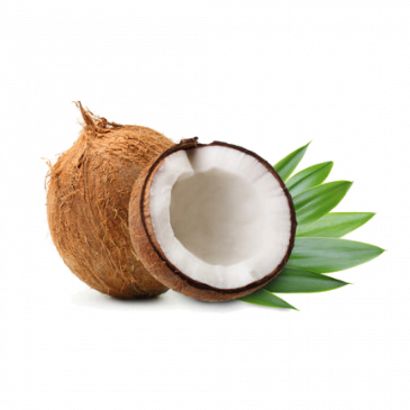 Palm Coconut (MB)