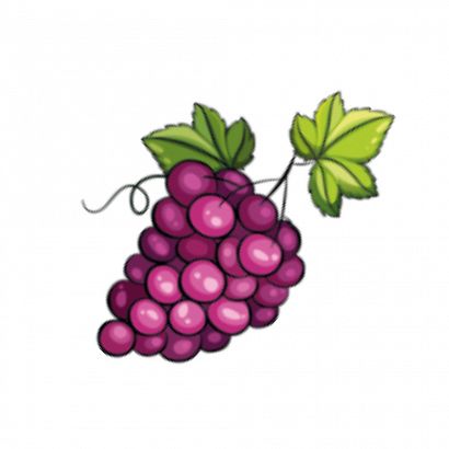 Fioletowy winogron / Grape (MB)