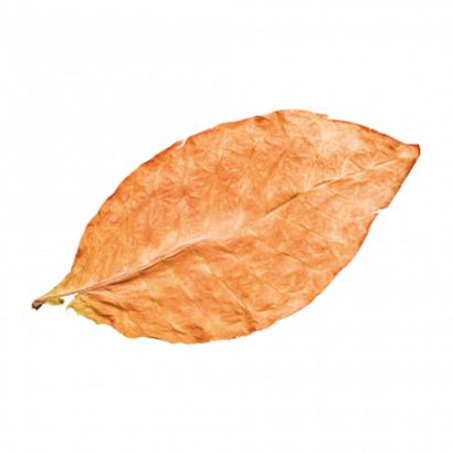 Sweet leaves / Charlie leaves/ Tobacco