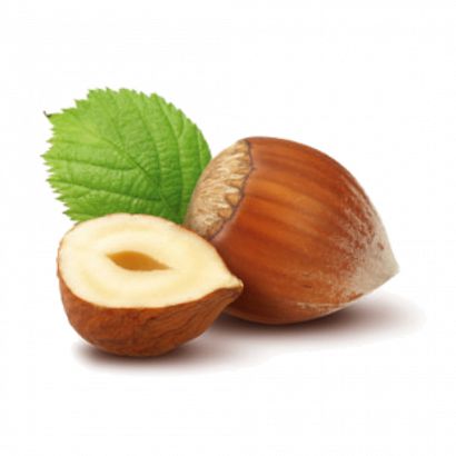 Nut Hazelnut  (MB)